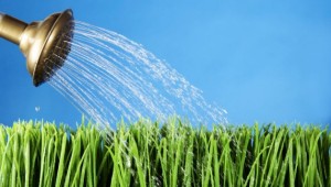water-saving-in-hydroponics