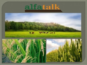 hydroponics-farming-a-solution-to-quality-livestock-forage-1-638