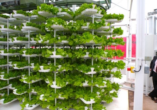 vertical-hydroponic-farms-537x375